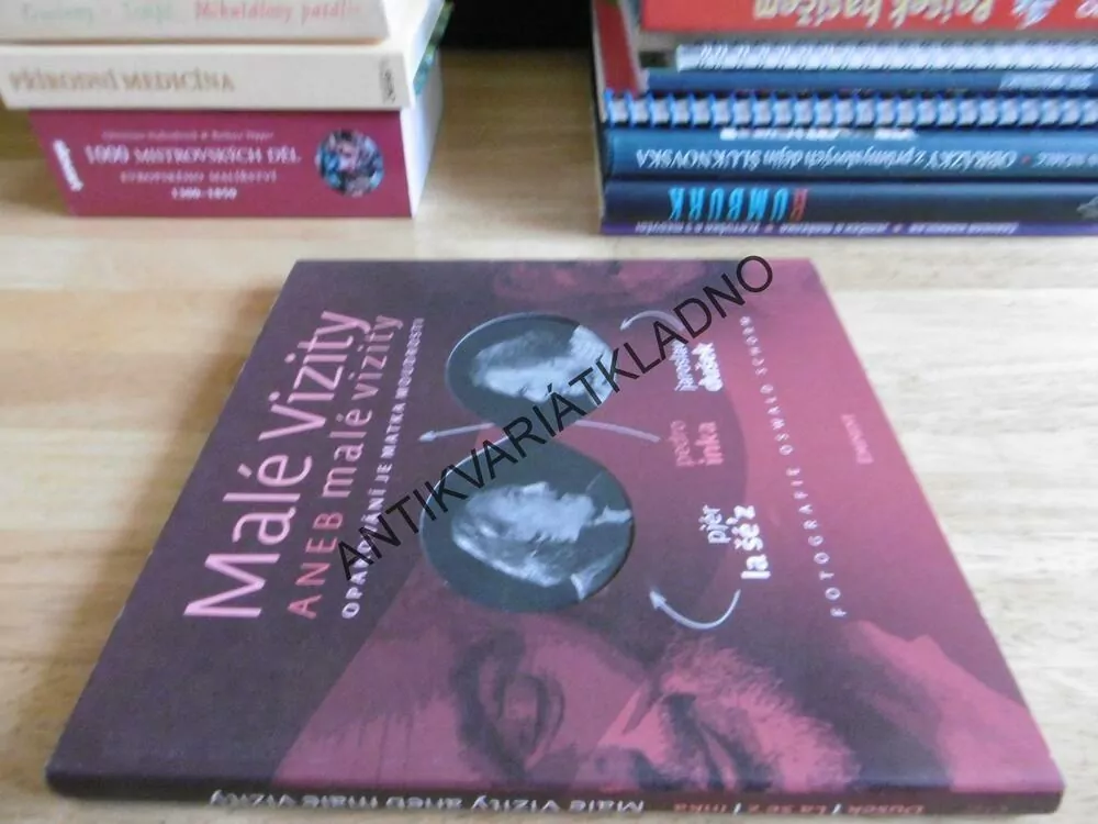 MALÉ VIZITY ANEB MALÉ VIZITY, OPAKOVÁNÍ JE MATKA MOUDROSTI, JARODLAV DUŠEK, PEDRO INKA, **an