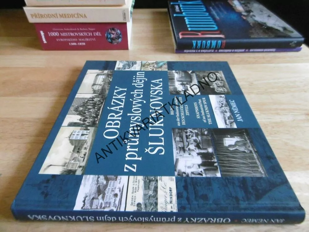 OBRÁZKY Z PRŮMYSLOVÝCH DĚJIN ŠLUKNOVSKA, ŠLUKNOV, **an