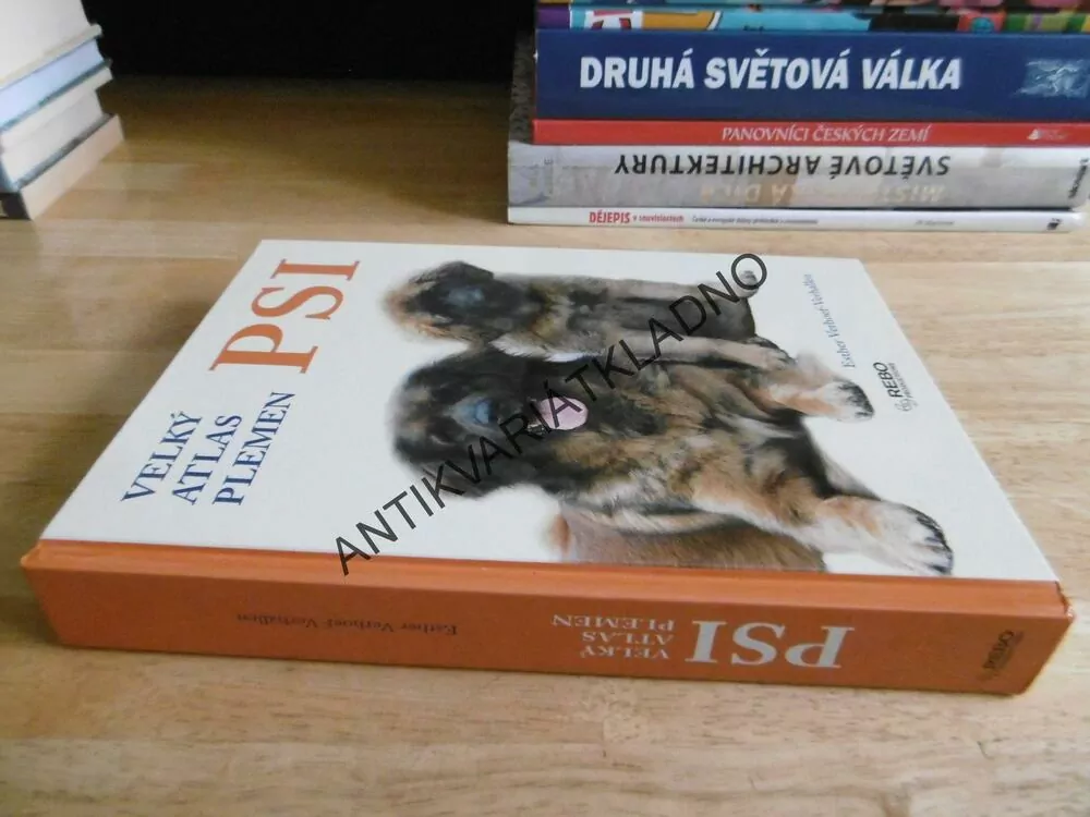 VELKÝ ATLAS PLEMEN, PSI, VERHOEF-VERHALLEN, **an