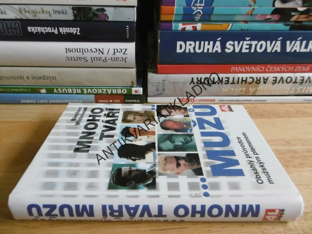 MNOHO TVÁŘÍ MUŽŮ, STEPHEN WHITEHEAD, **an