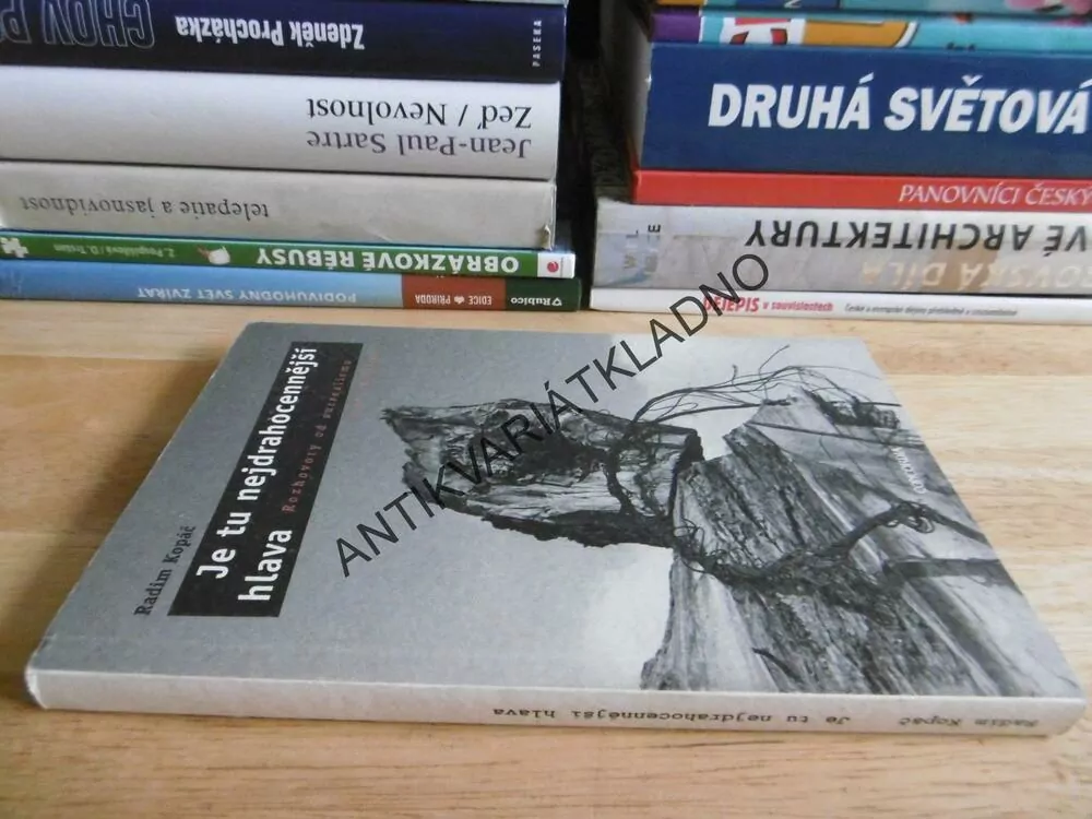 JE TU NEJDRAHOCENĚJŠÍ HLAVA, RADIM KOPÁČ, **an