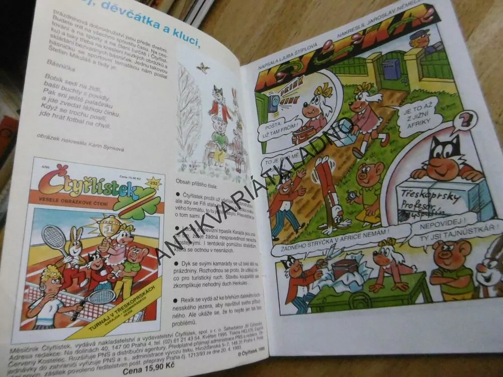 ČTYŘLÍSTEK 231 - KYTKA