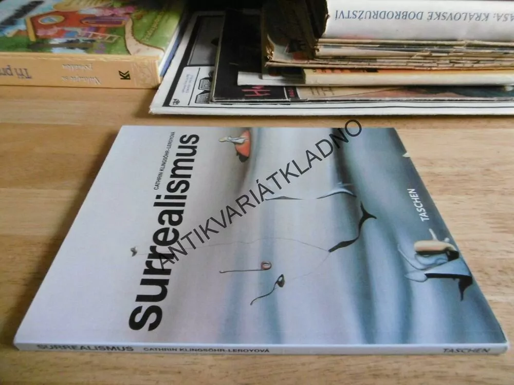 SURREALISMUS, CATHRIN KLINGSÖHR-LEROYOVÁ