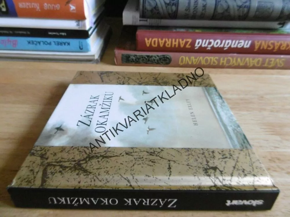 ZÁZRAK OKAMŽIKU, HELEN EXLEY, CITÁTY, MOUDRA, **an