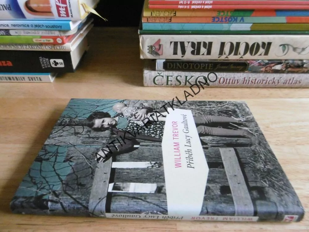 PŘÍBĚH LUCY GAULTOVÉ, WILLIAM TREVOR, **an