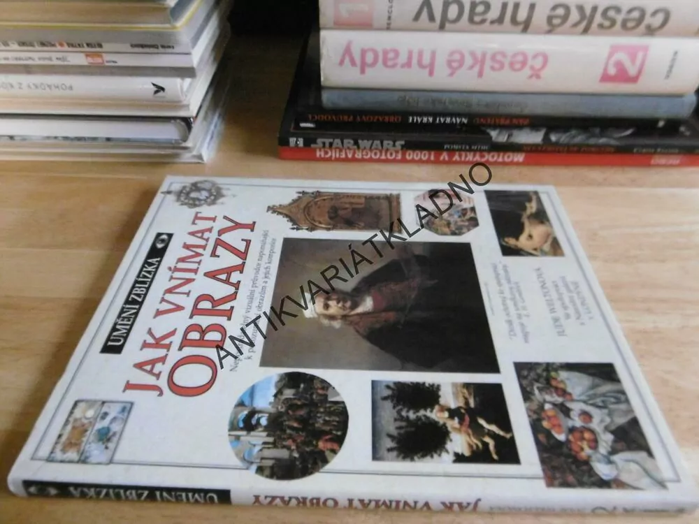 JAK VNÍMAT OBRAZY, JUDE WELTONOVÁ, UMĚNÍ ZBLÍZKA,, **an