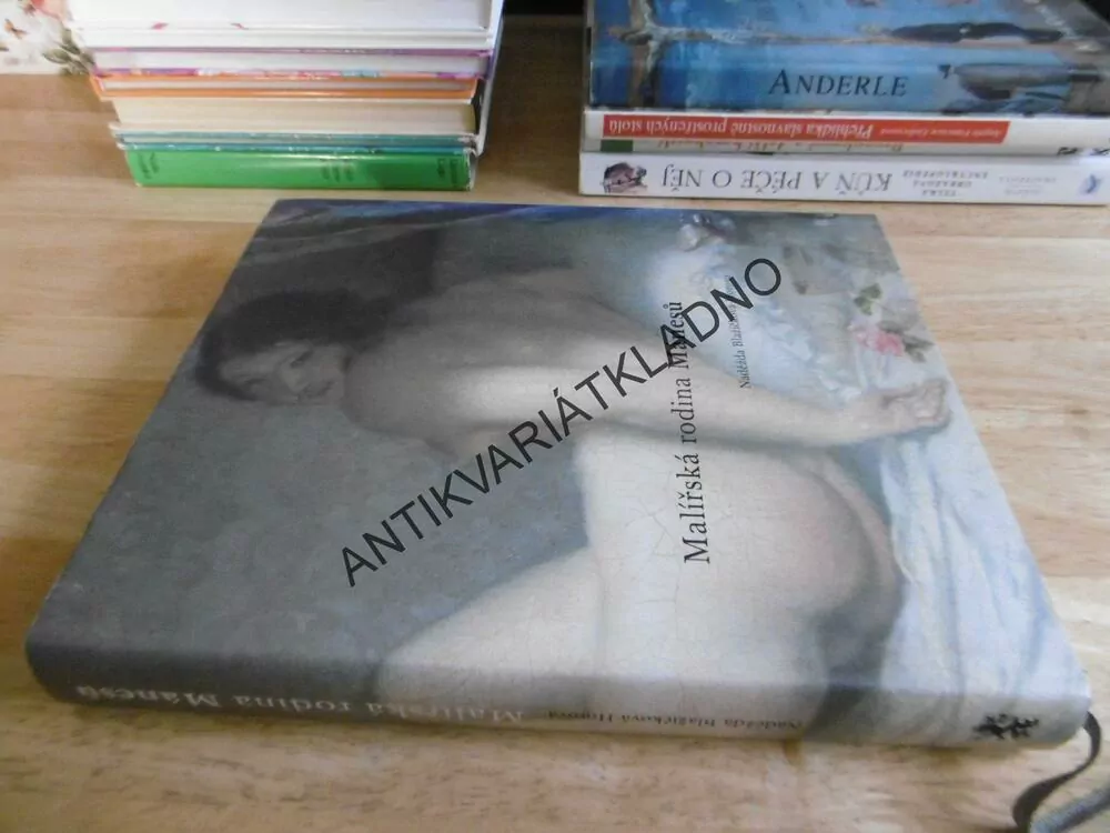 MALÍŘSKÁ RODINA MÁNESŮ, NADĚŽDA BLAŽÍČKOVÁ-HOROVÁ,JOSEF MÁNES, **an
