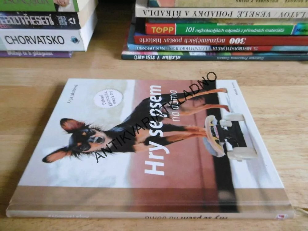 HRY SE PSEM NA DOMA, DUŠEVNÍ GYMNASTIKA, TRIKY A HRY, ANJA JAKOBOVÁ, **an