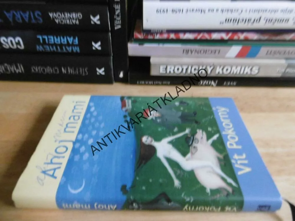 AHOJ MAMI, VÍT POKORNÝ, **an