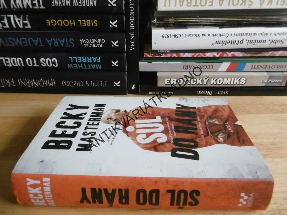 SŮL DO RÁNY, BECKY MASTERMAN, **an