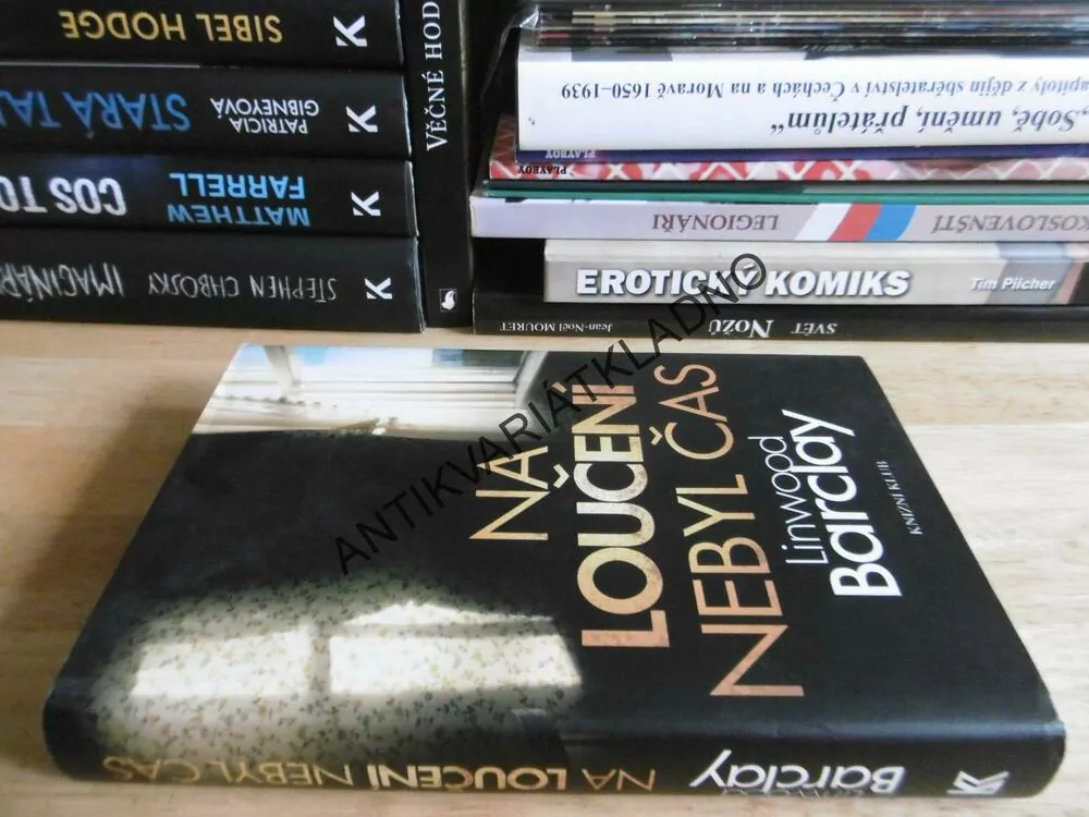 NA LOUČENÍ NEBYL ČAS, LINWOOD BARCLAY, **an