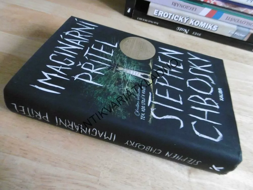 IMAGINÁRNÍ PŘÍTEL, STEPHEN CHBOSKY, **an