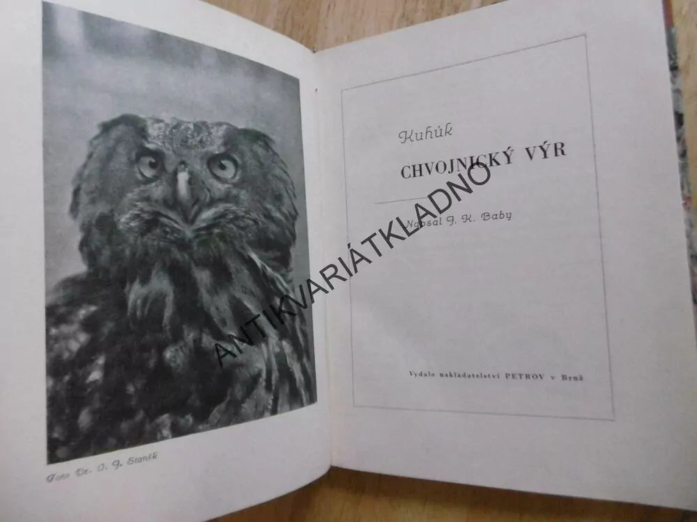 KUHÚK, CHVOJNICKÝ VÝR, F.K. BABY, 1943, **an
