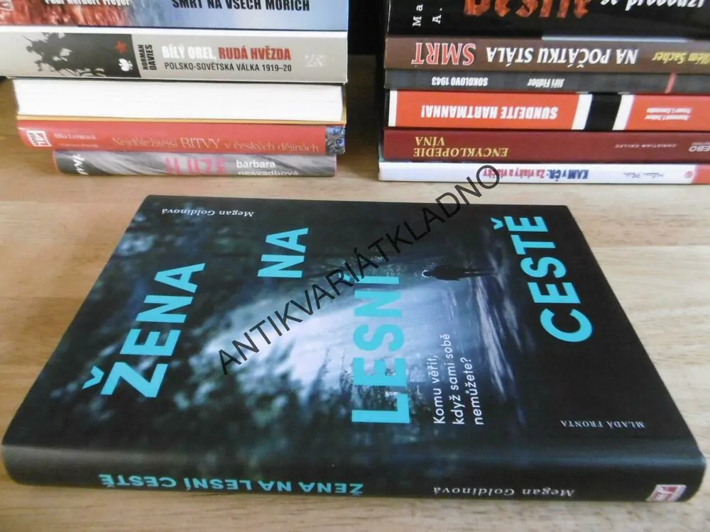 ŽENA NA LESNÍ CESTĚ, MEGAN GOLDINOVÁ, **an