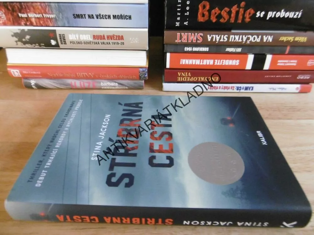 STŘÍBRNÁ CESTA, STINA JACKSON, **an