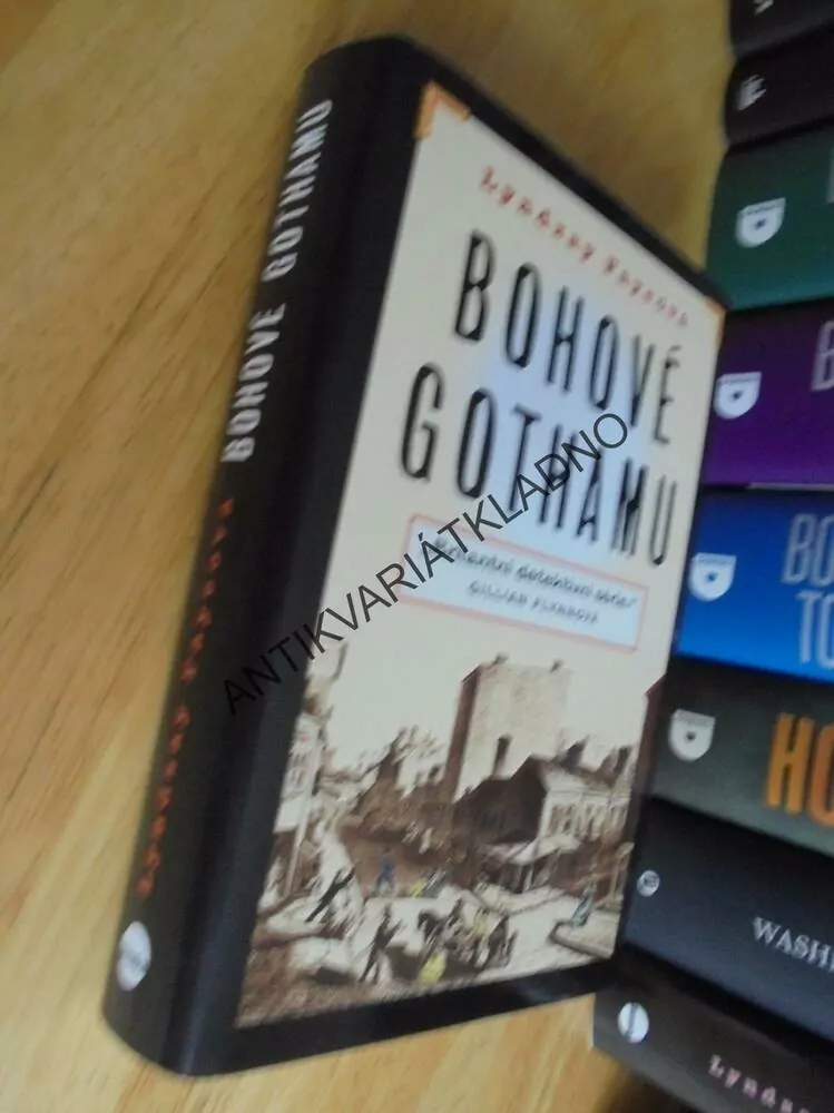 BOHOVÉ GOTHAMU, LYNDSAY FAYEOVÁ, DETEKTIVKA FLYNNOVÁ, **an