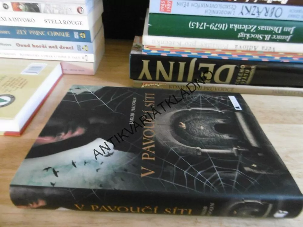V PAVOUČÍ SÍTI, JAKUB HRDOUN, **an