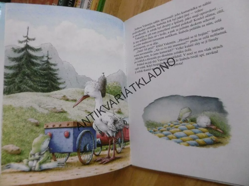 ŽABÁK VALENTÝN A MALINOVĚ ČERVENÉ AUTÍČKO,HANS DE BEER **an