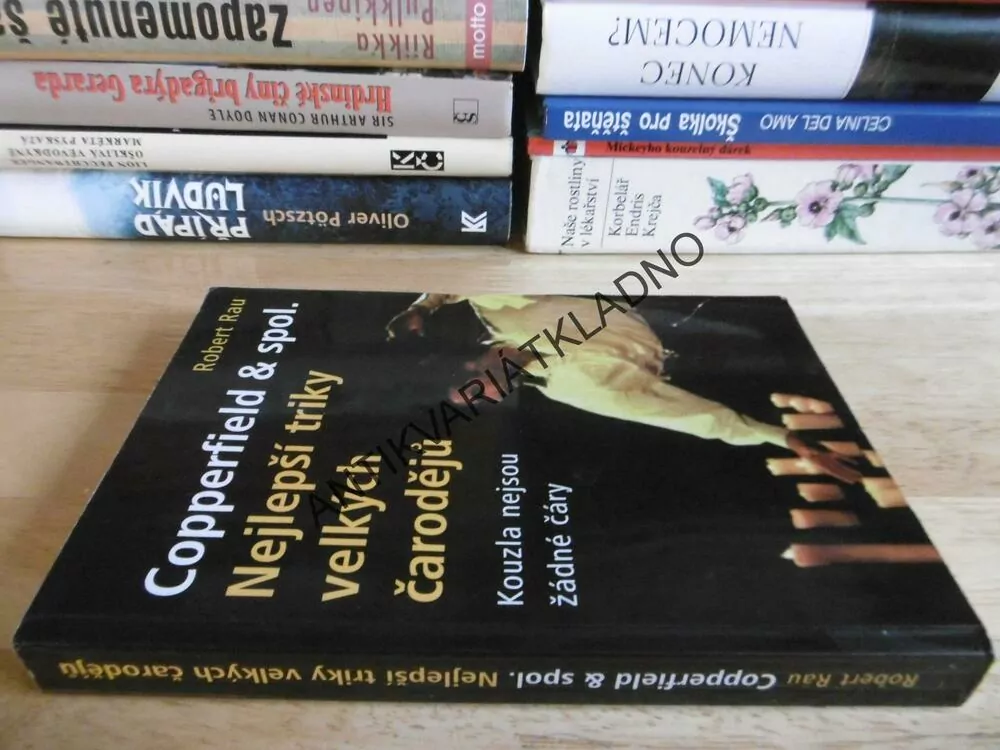 COPPERFIELD, NEJLEPŠÍ TRIKY VELKÝCH ČARODĚJŮ,ROBERT RAU, **an