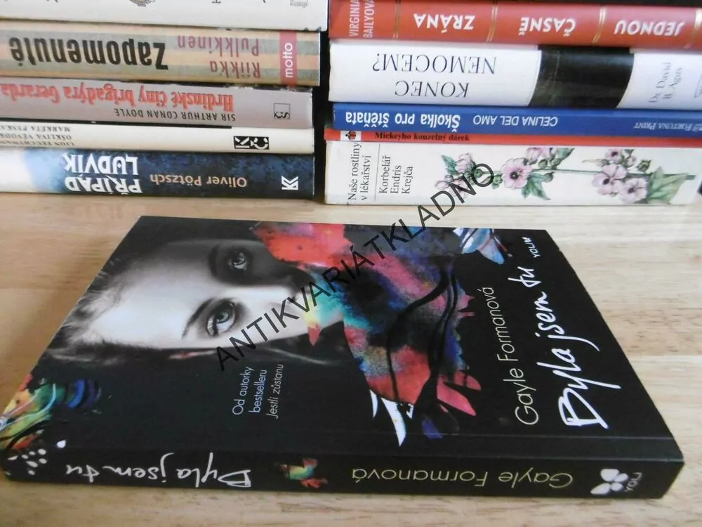 BYLA JSEM TU, GAYLE FORMANOVÁ, **an
