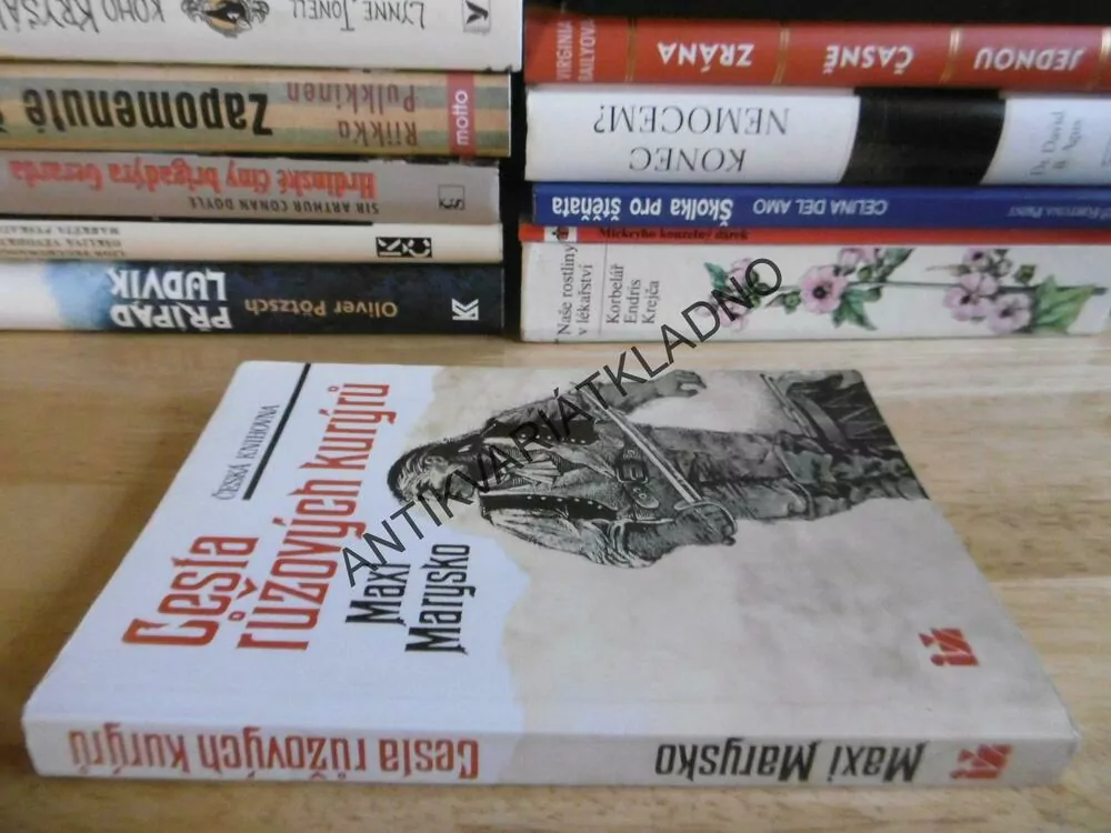 CESTA RŮŽOVÝCH KURÝRŮ, MAXI MARYSKO, **an