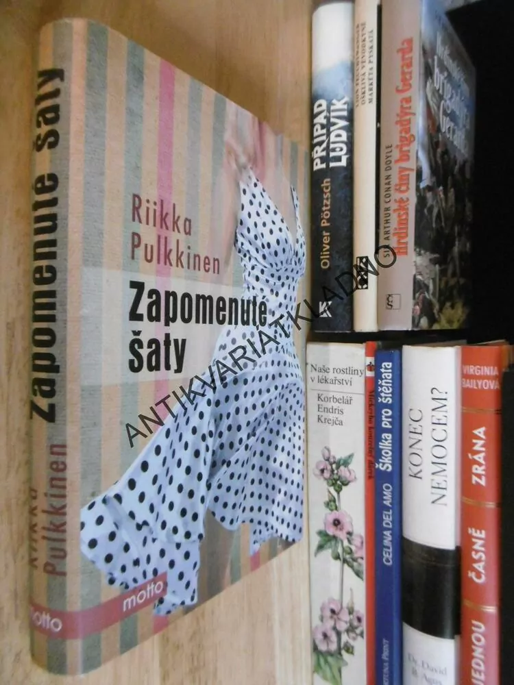 ZAPOMENUTÉ ŠATY, RIIKA PULKKINEN, **an