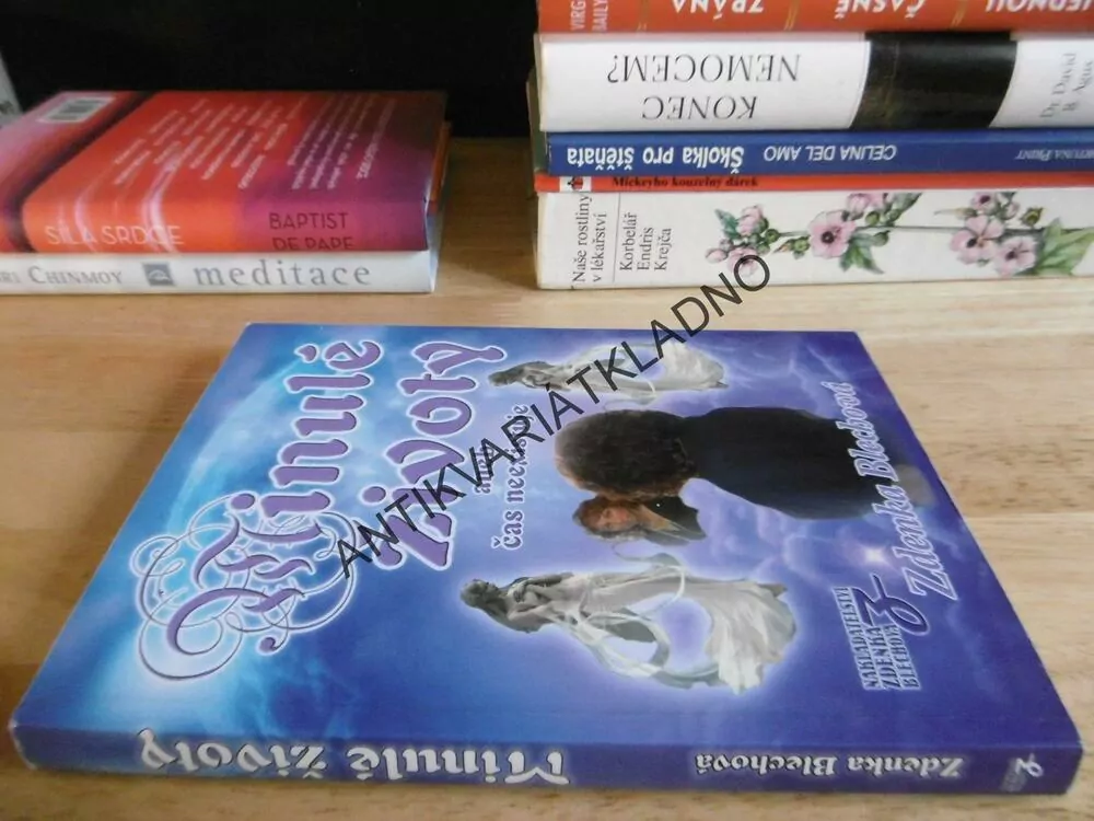 MINULÉ ŽIVOTY ANEB ČAS NEEXISTUJE, ZDENKA BLECHOVÁ, **an