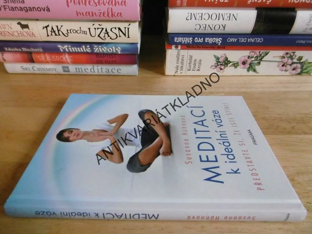 MEDITACÍ K IDEÁLNÍ VÁZE, SUSANNĚ HÜHNOVÁ, **an
