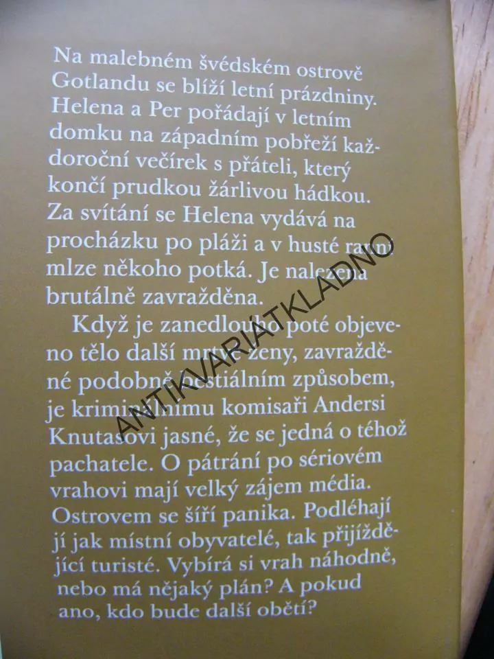 NEVIDITELNÝ, MARI JUNGSTEDTOVÁ