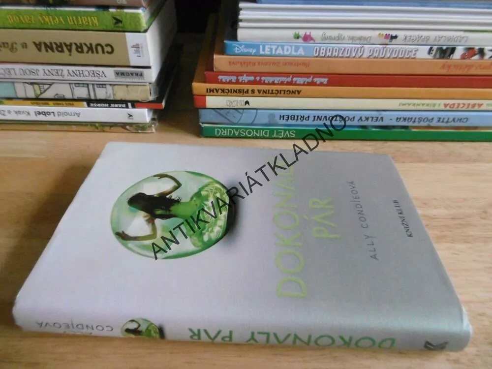 DOKONALÝ PÁR, ALLY CONDIEOVÁ, **an