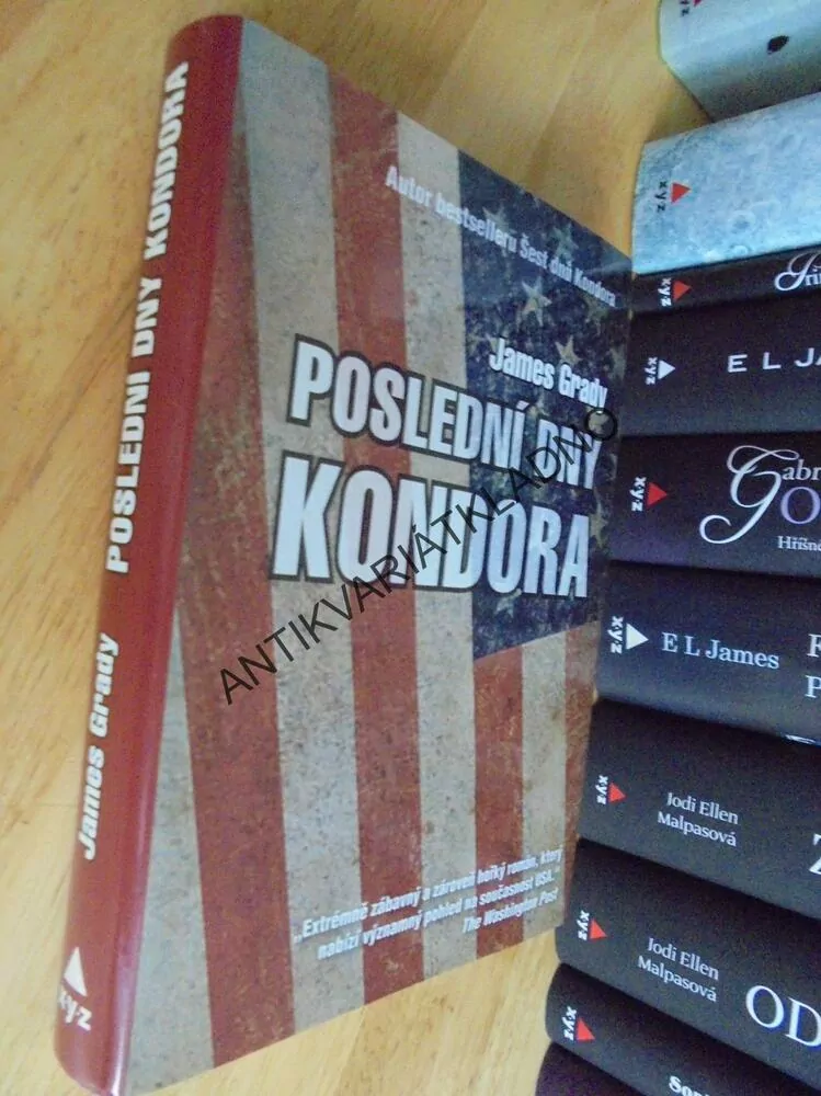 POSLEDNÍ DNY KONDORA, JAMES GRADY,