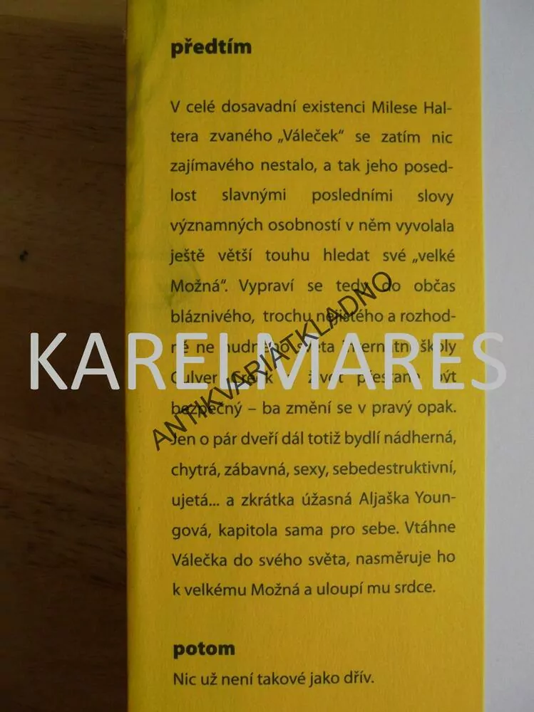 HLEDÁNÍ ALJAŠKY, JOHN GREEN, BESTSELLER