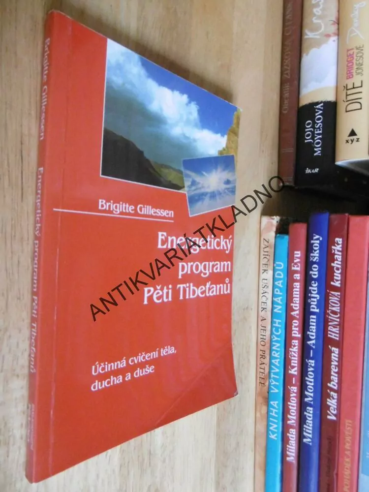 ENERGETICKÝ PROGRAM PĚTI TIBEŤANŮ, PĚT TIBEŤANŮ, BRIGITTE GILLESSEN, **an