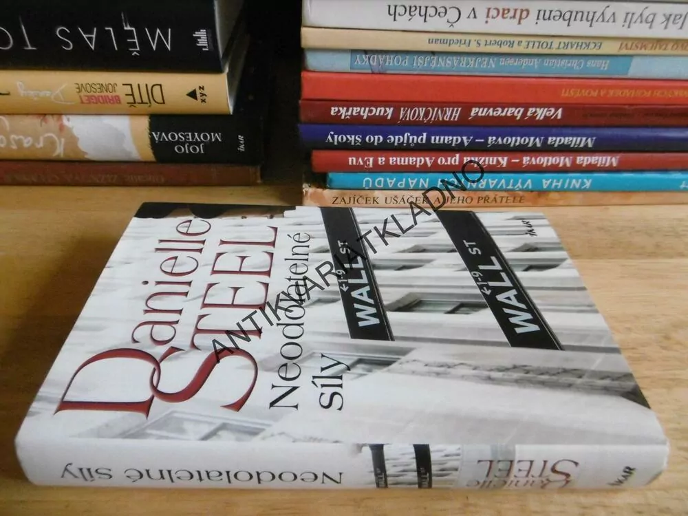 NEODOLATELNÉ SÍLY, DANIELLE STEEL, **an