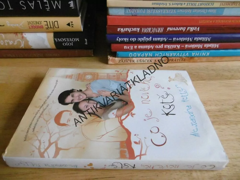 CO JE NOVÉHO, KOTĚ?, ALEXANDRA POTTER, **an