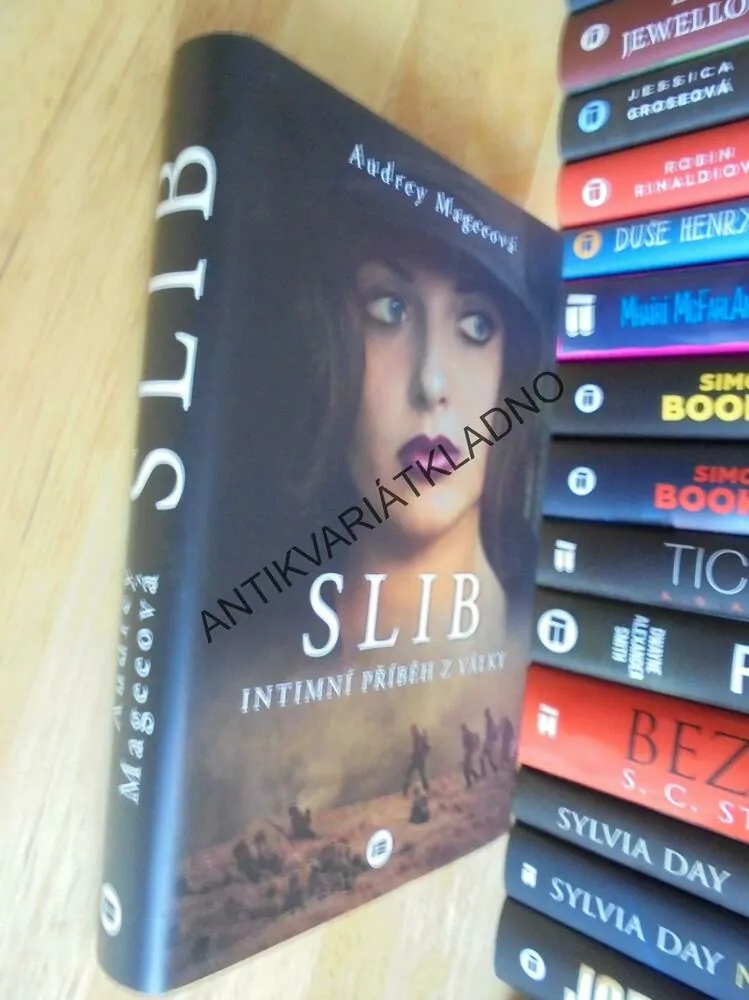 SLIB, INTIMNÍ PŘÍBĚH Z VÁLKY, AUDREY MAGEEOVÁ,