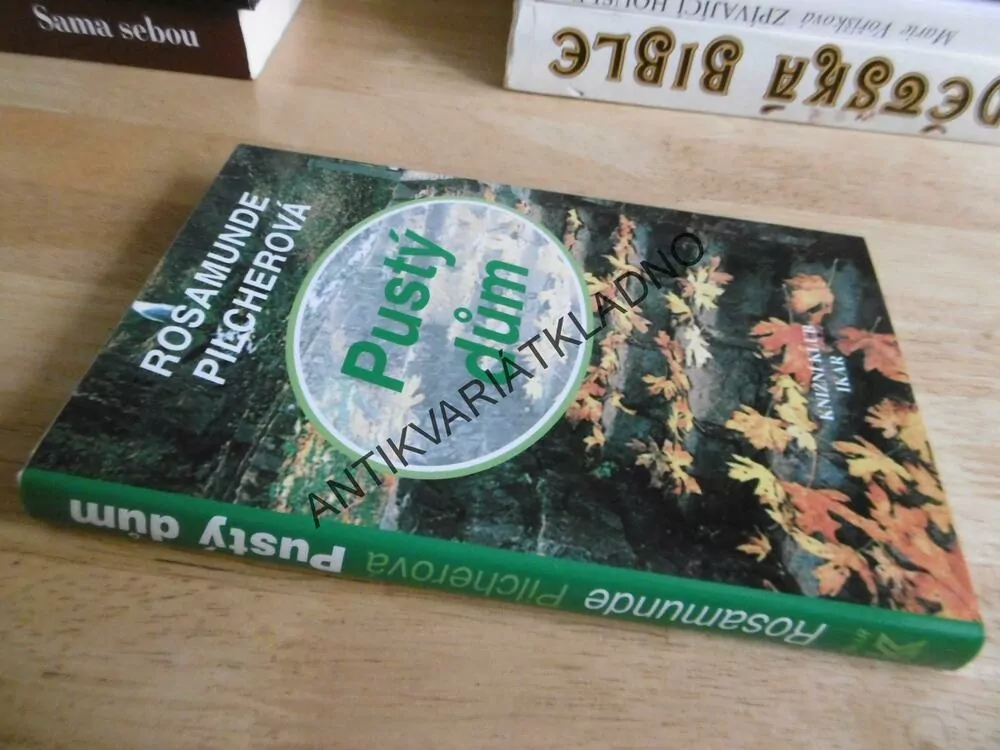 PUSTÝ DŮM, ROSAMUNDE PILCHEROVÁ, **an