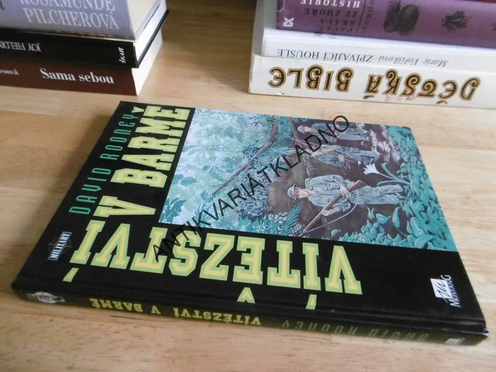 VÍTĚZSTVÍ V BARMĚ, DAVID ROONEY, **an