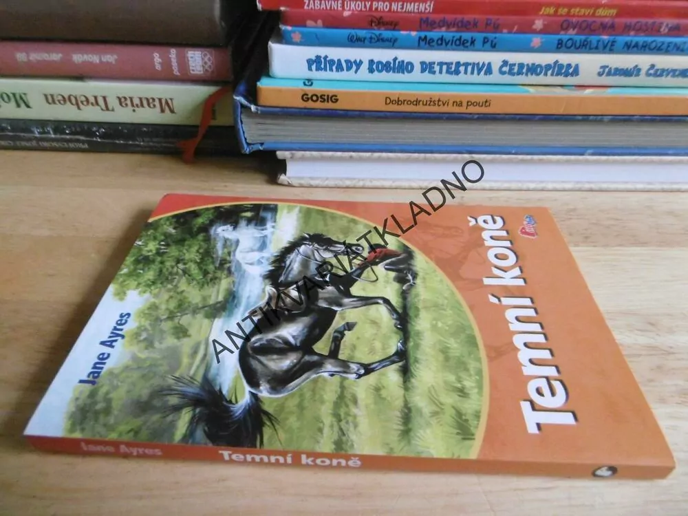 TEMNÍ KONĚ, JANE AYRES, *an