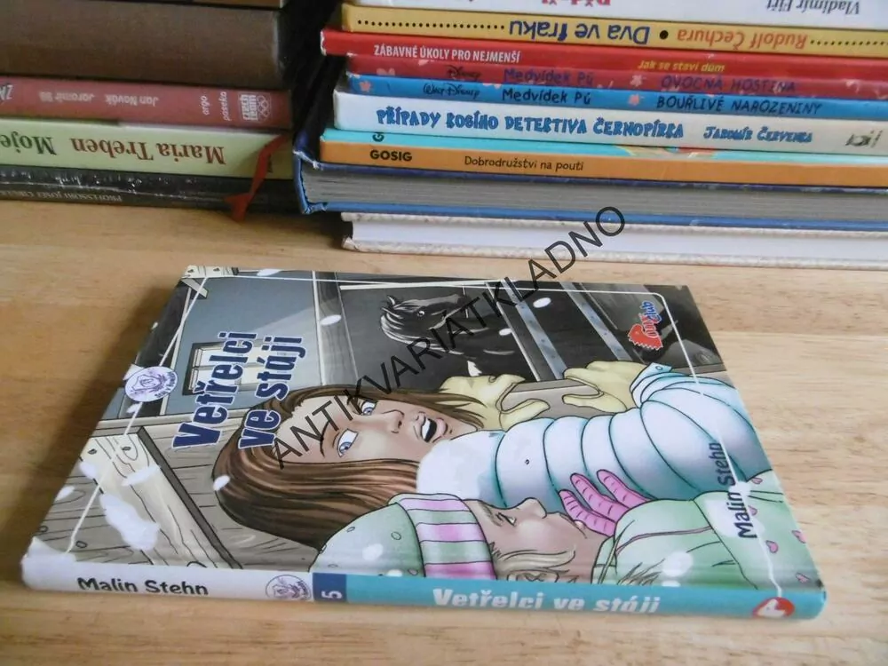 VETŘELCI VE STÁJI, MALIN STEHN, *an