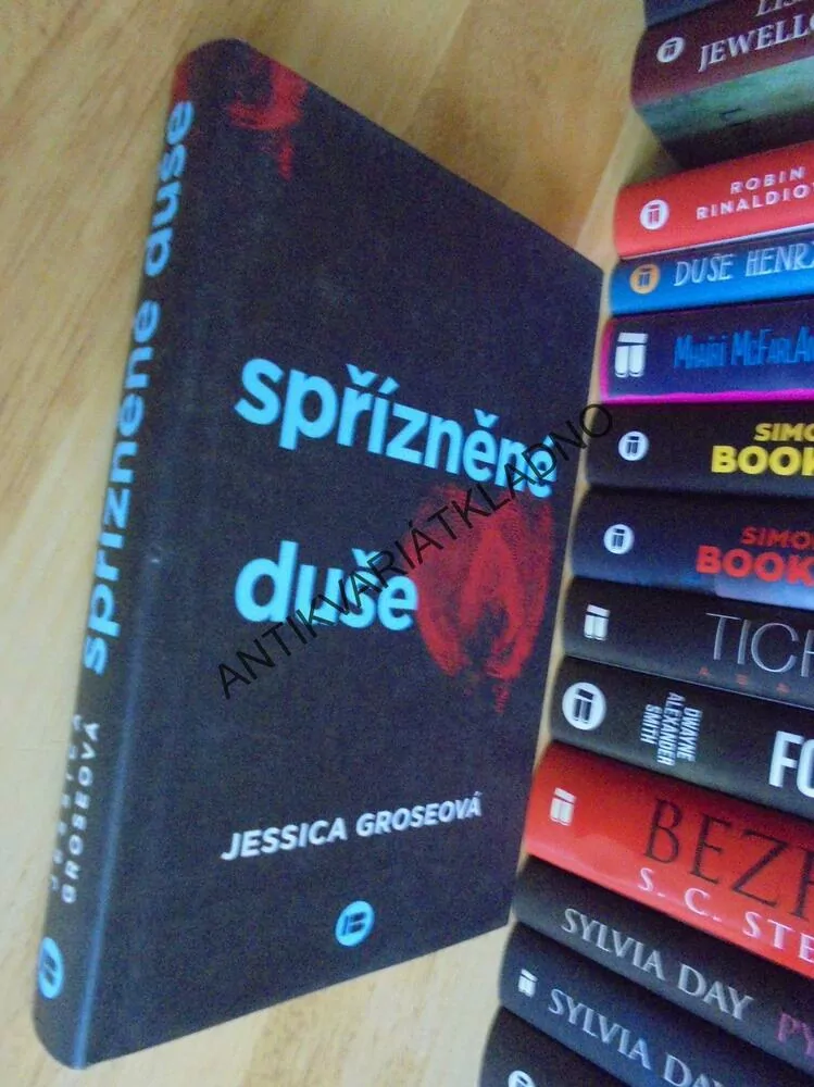 SPŘÍZNĚNÉ DUŠE, JESSICA GROSEOVÁ