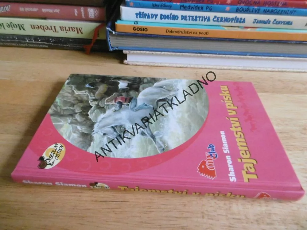 TAJEMSTVÍ V PÍSKU, SHARON SIAMON, **an