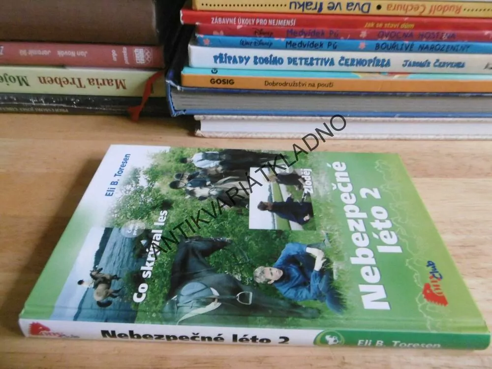 NEBEZPEČNÉ LÉTO 2, ELI B. TORESEN, *an
