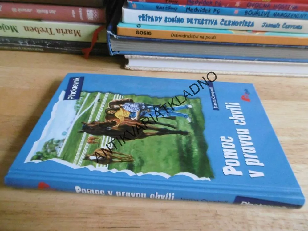 POMOC V PRAVOU CHVÍLI, JOANNA CAMPBELL, PLNOKREVNÍK, *an
