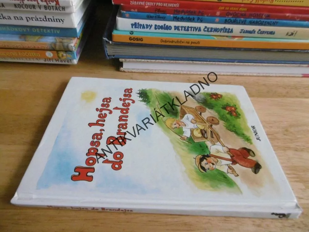 HOPSA HEJSA DO BRANDEJSA, BÁSNIČKY, VLADIMÍRA VOPIČKOVÁ, **an