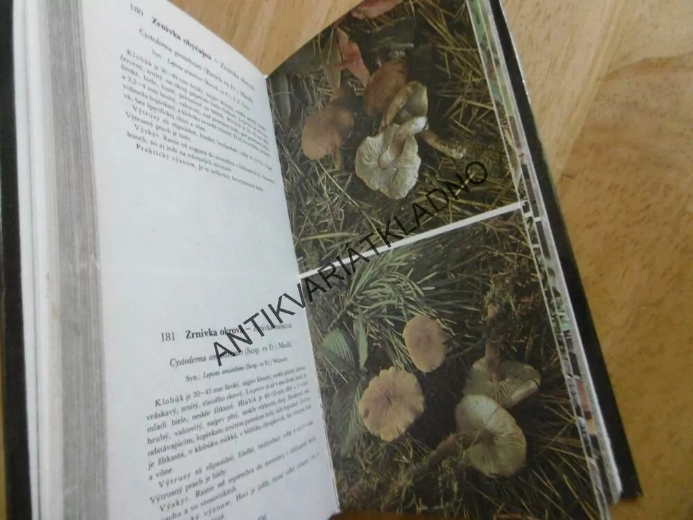 ATLAS NAŠICH HUB, AUREL DERMEK, **an