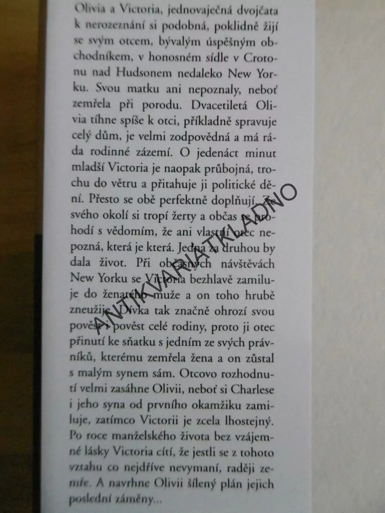 ZRCADLOVÝ OBRAZ, DANIELLE STEEL, **an