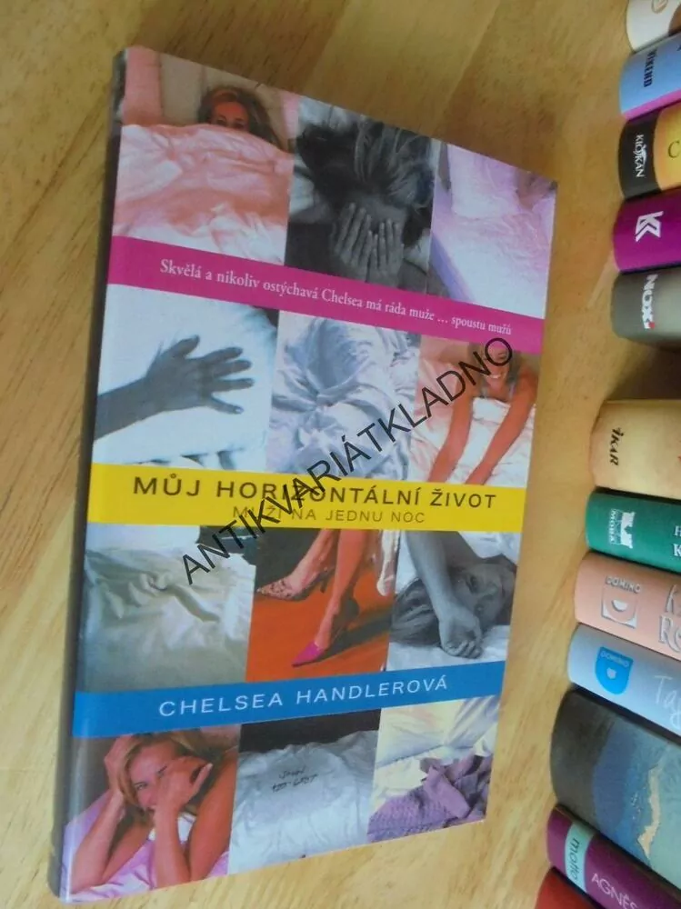 MŮJ HORIZONTÁLNÍ ŽIVOT, MUŽI NA JEDNU NOC,HANDLEROVÁ