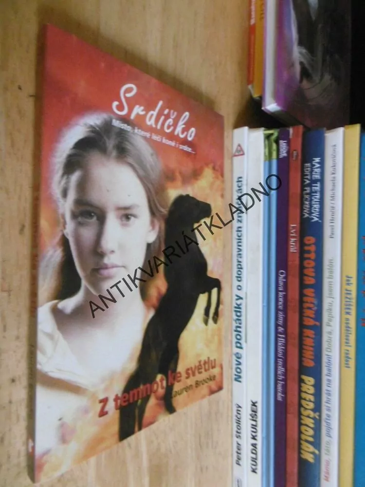 Z TEMNOT KE SVĚTLU, LAUREN BROOKE, *an