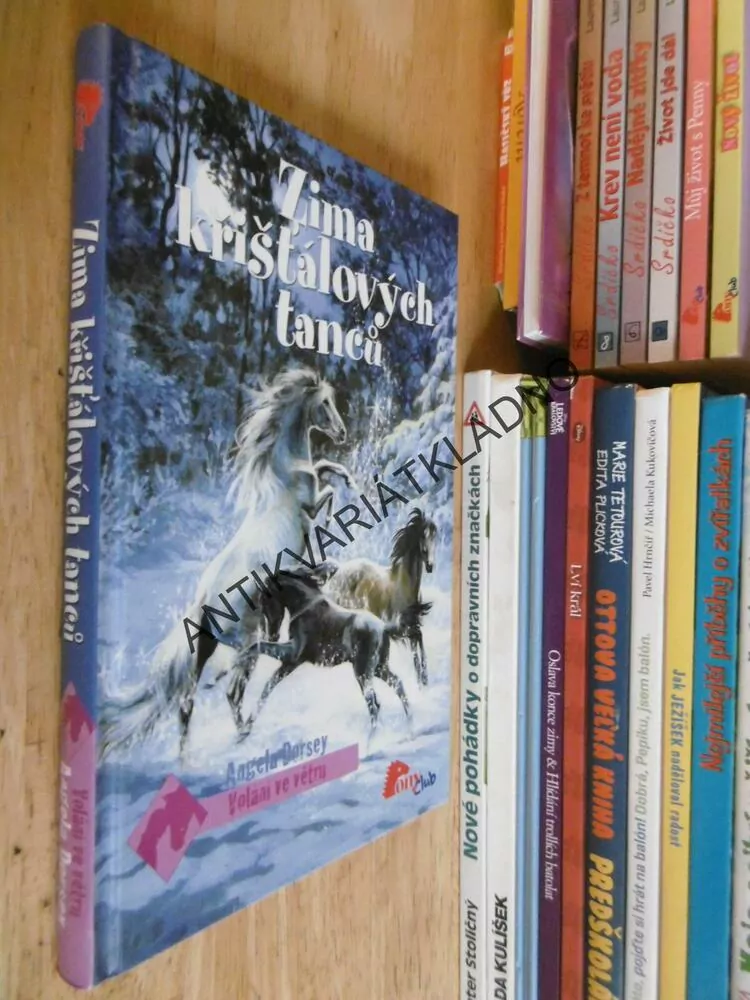 ZIMA KŘIŠŤÁLOVÝCH TANCŮ, ANGELA DORSEY, *an